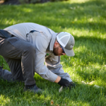 Lawn Tech Looking at Grass