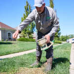 Hand Treating during Aeration & Seeding